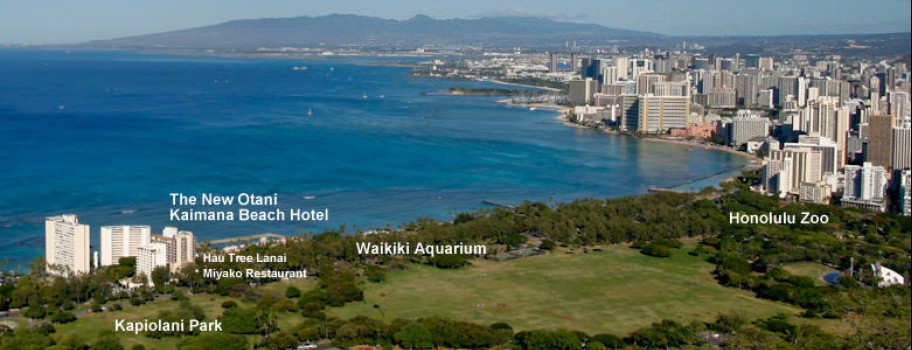 gay friendly honolulu hotel Gay friendly honolulu hotel